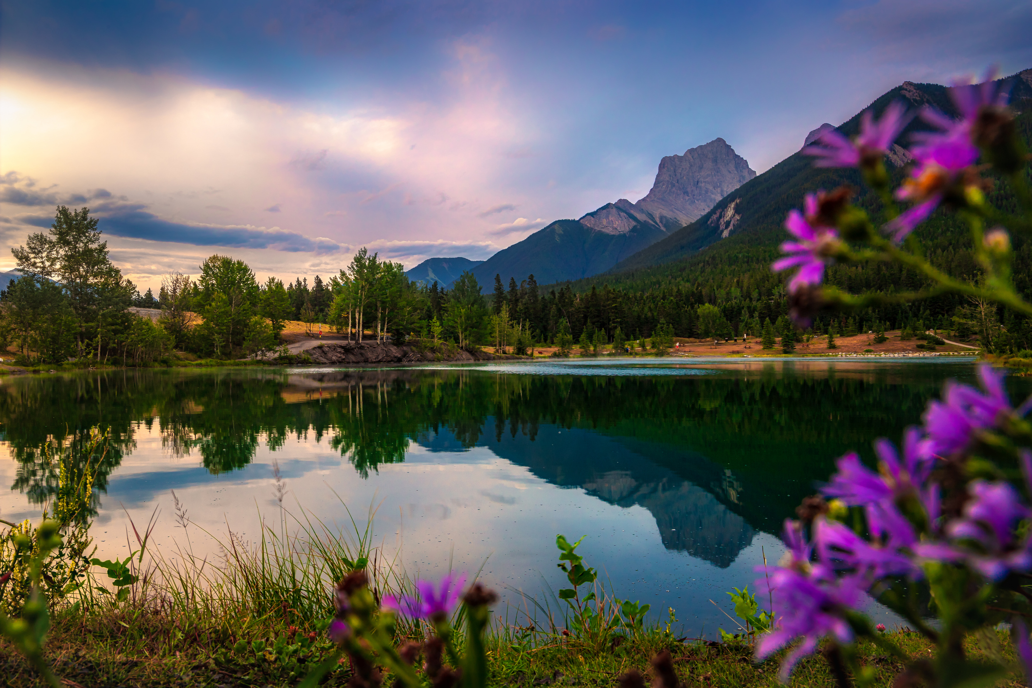 iStock-1335730825 (1)